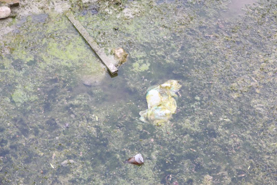 Seyhan Nehri’nin rengi değişti. Bu görüntünün sebebi ne? - Resim: 21